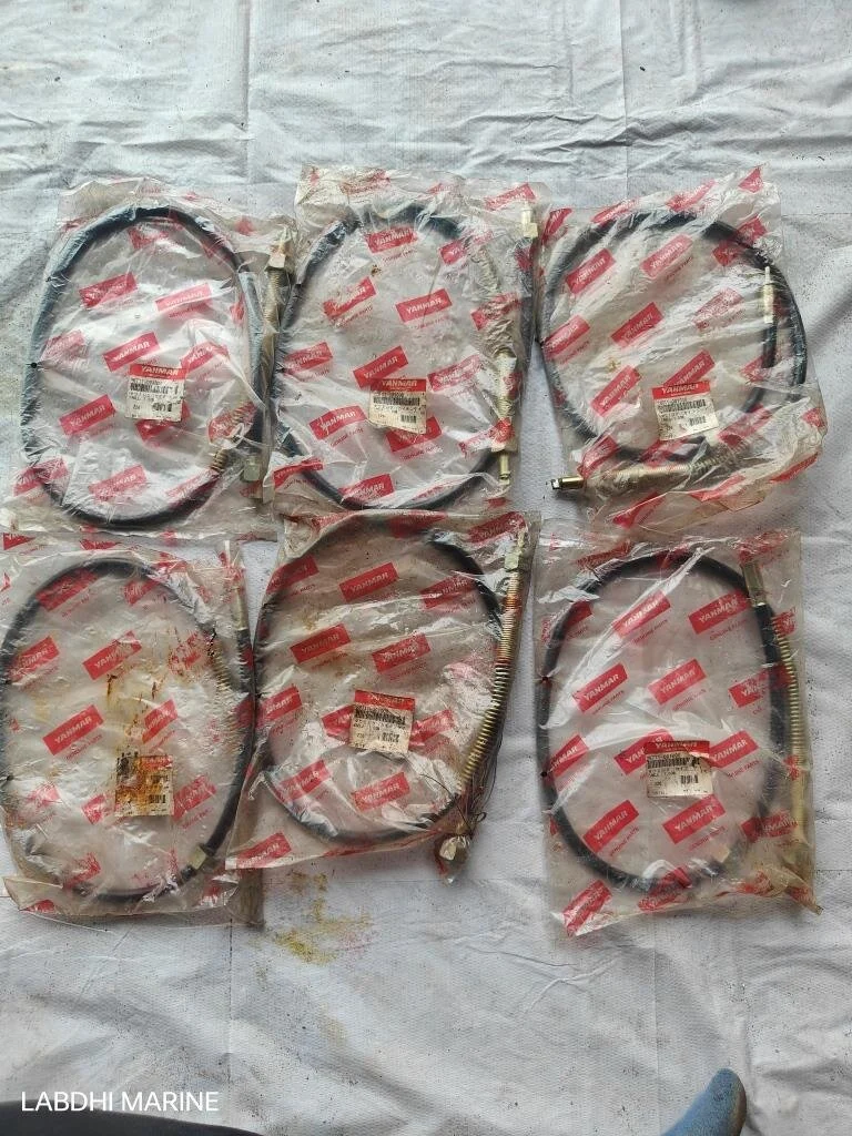 CABLE 100M