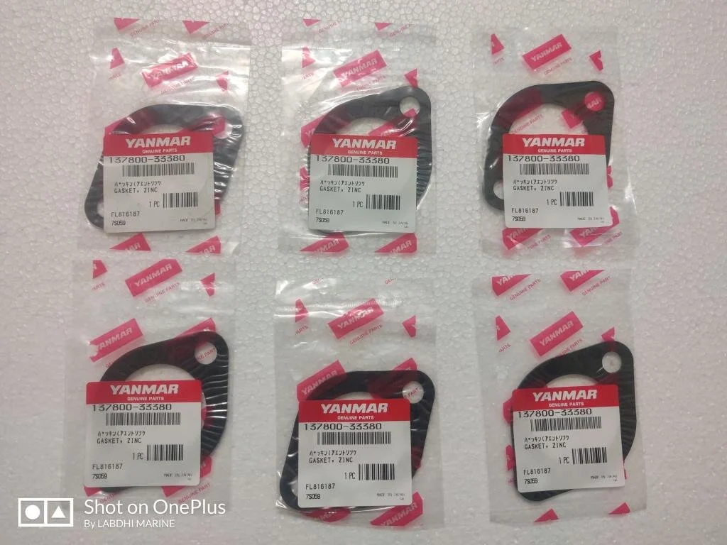 GASKET ZINC