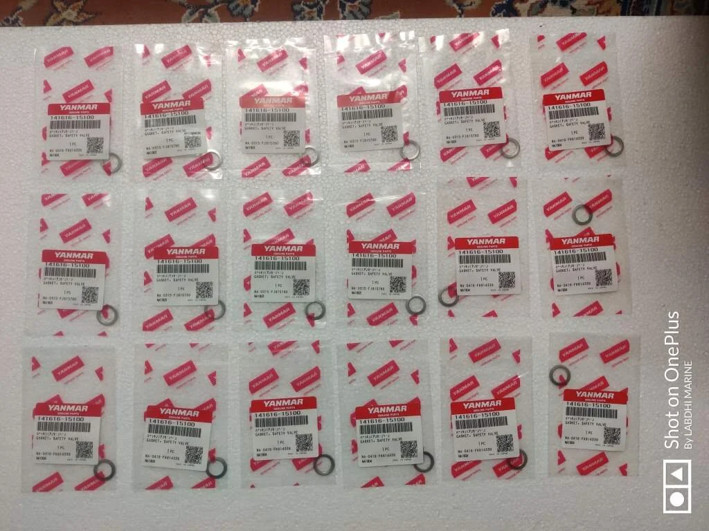 GASKET SAFETY VALVE