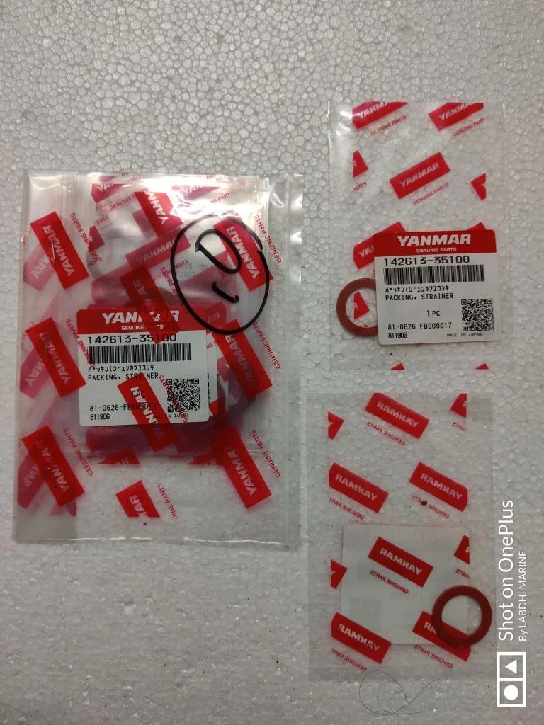 PACKING STRAINER