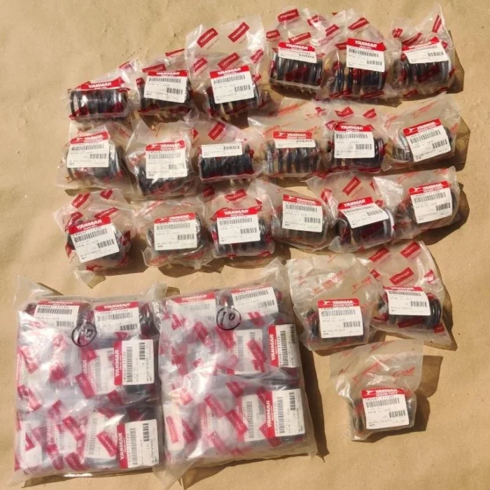 Valve Spring (A)
