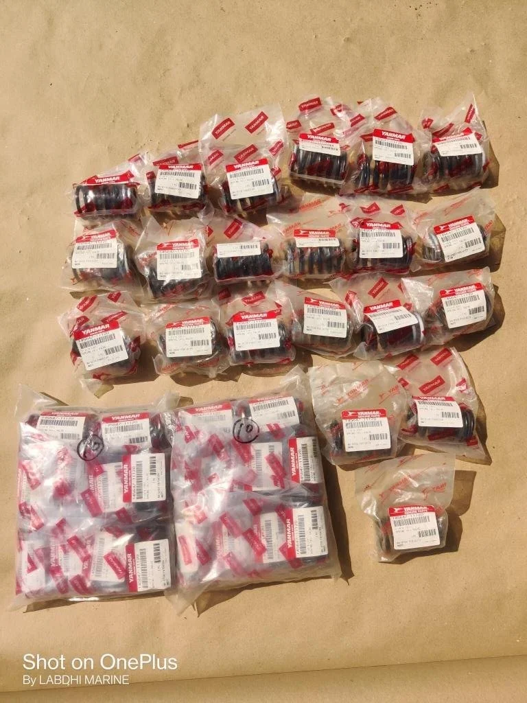 Valve Spring (A)