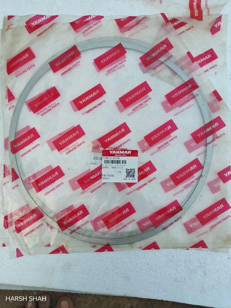 GASKET HEAD T=1.0