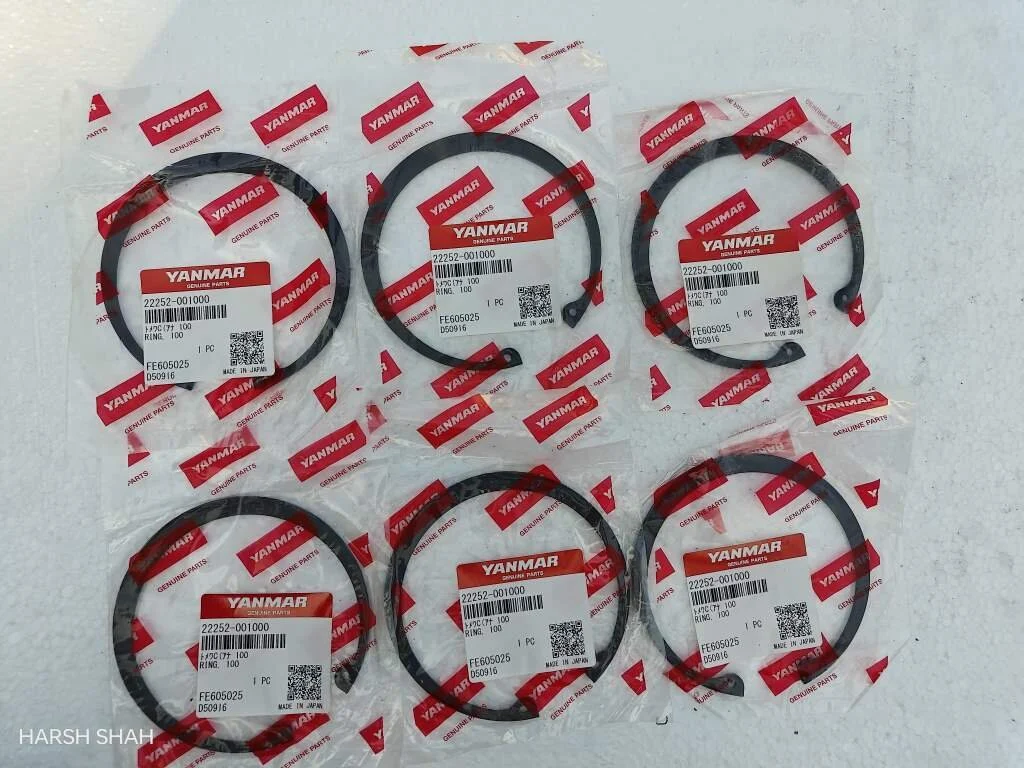 RING 100