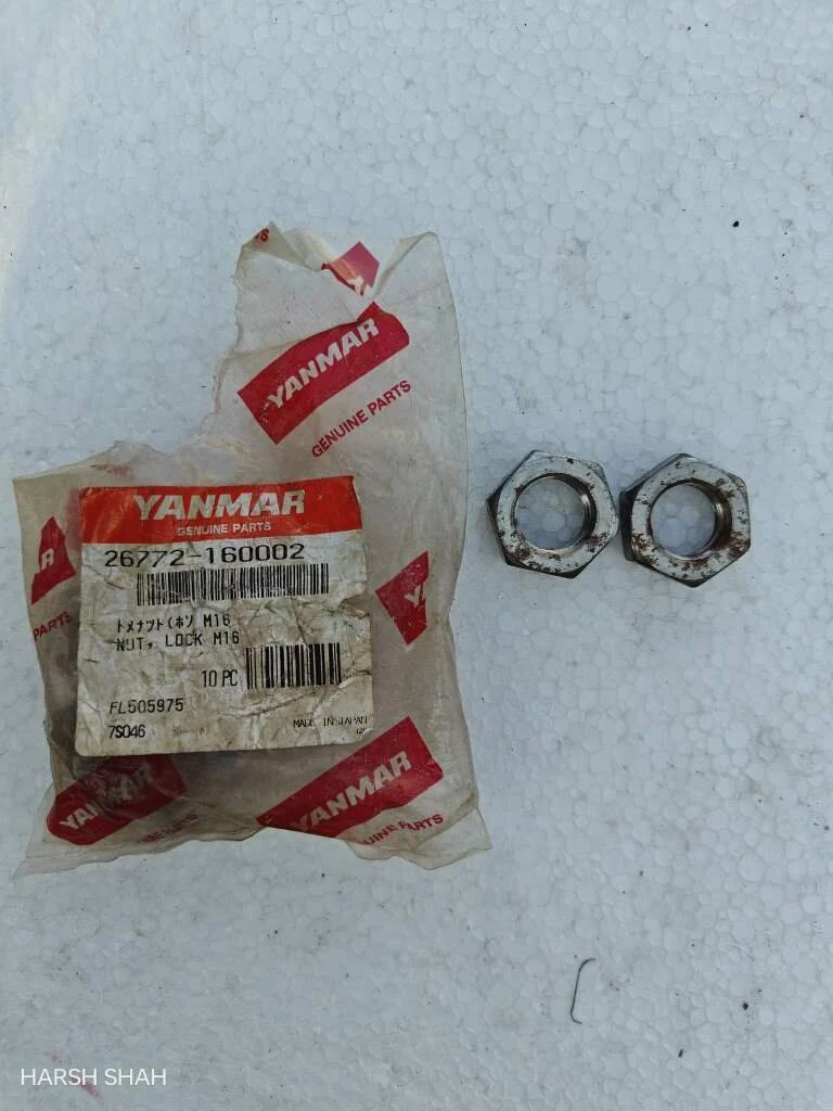 NUT LOCK