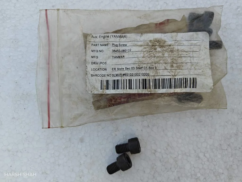 PLUG SCREW