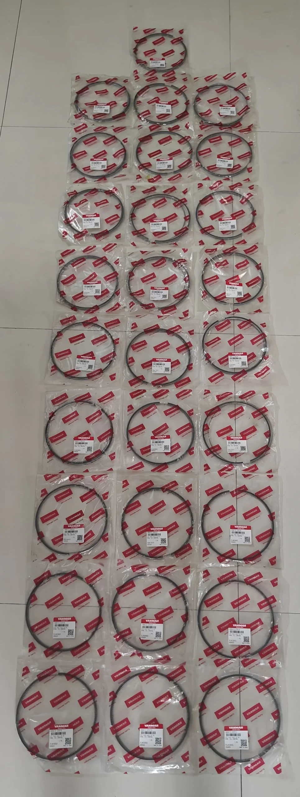 Oil Control Ring