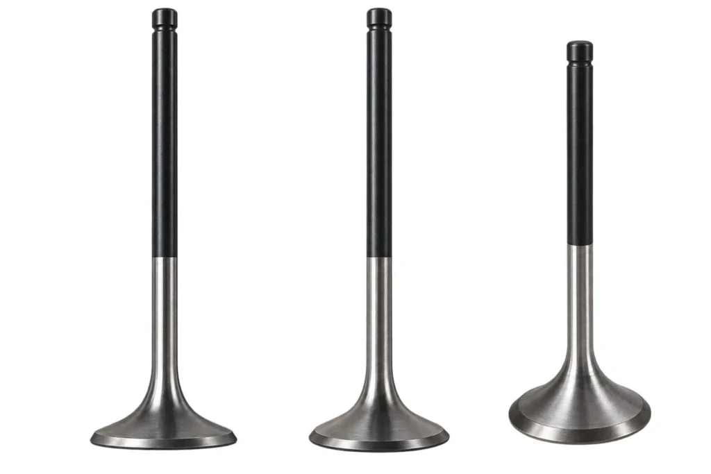 Marine Engine Exhaust Valve: Failures & Replacement Guide | Labdhi Marine Three Engine Valves marine engine spare parts